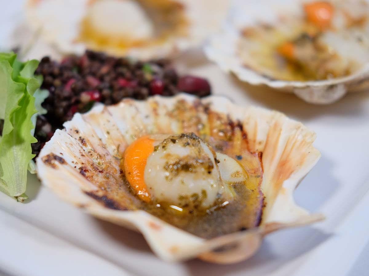 Scallop